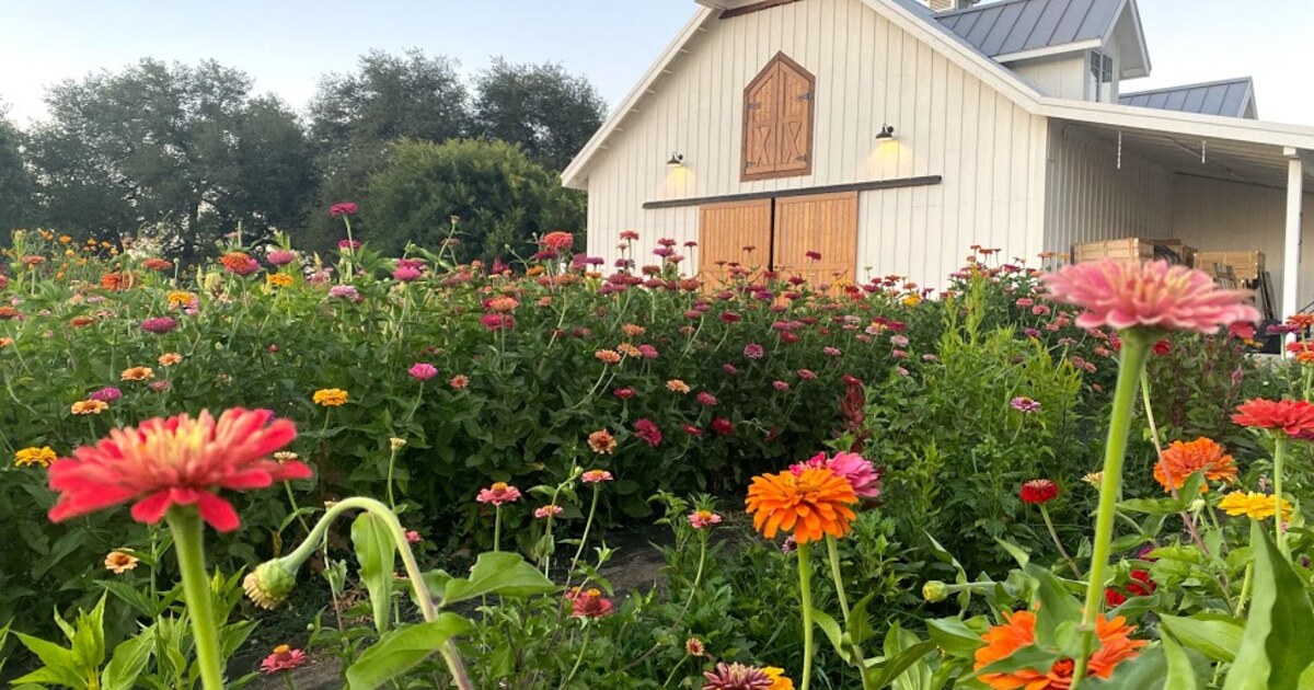 Heirloom Acres Farm photo